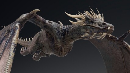 Wyvern type Dragon pose render of background. 3d rendering