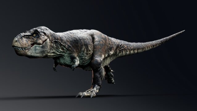 Trannosaurus Rex Sue pose render of background. 3d rendering