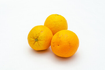 Fresh spanish oranges