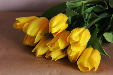 Obraz premium yellow tulips on a table
