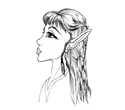 Portrait of a little elf with long hair braided into a complex hairstyle. Ink drawing.