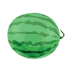 Big watermelon on white background