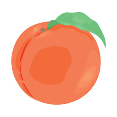 Juicy peach on white background