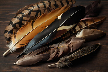 Feather quills in various shades of brown on a dark brown background, generative ai