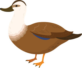 Simple and adorable flat colored Brown Duck illustration