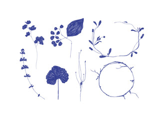 Leaves and branches silhouettes set drawing on white background