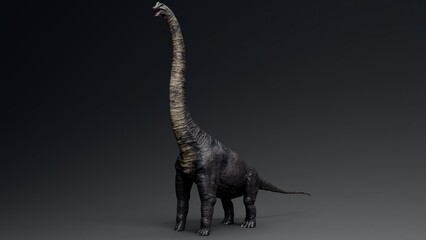 Sauropod Brachiosaurus pose render of background. 3d rendering © racksuz