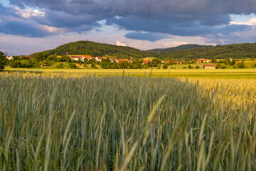 Blick auf Eschenbach