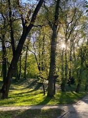 Fototapeta premium Polska, Lublin