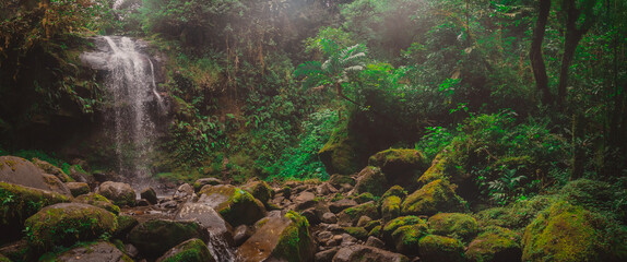 Beautiful waterfall in Boquete part of Panama called the hidden waterfalls. Beautiful jungle setting with lush greens and big moss covered rocks and enchanting waterfall. - obrazy, fototapety, plakaty