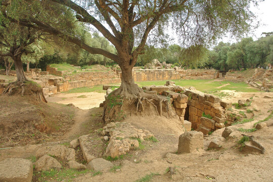 View of the ruins of the Roman city of Tipaza in Algeria