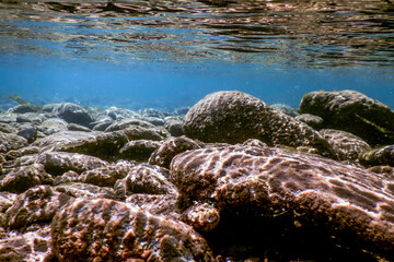 Rocks and Pebbles, pebbles below water