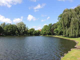 Fototapeta premium Lake in the forest - Lübeck - Germany