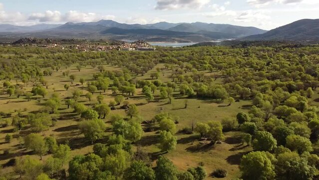 drone marcha atras sobre el valle