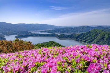 Fototapeten Azalee 梅丈岳から望む三方五湖  © 安ちゃん