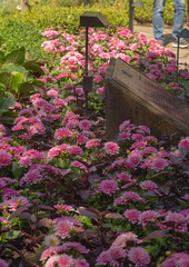 Scenic Butchart Gardens - Brentwood Bay - British Columbia