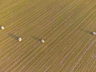 Beautiful field with harvested bales of hay, with a background of mowed lines. Aerial view of a farmland with space for text. - 610118049