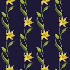 Seamless pattern yellow Bieberstein tulip. Lily. Early blooming. Spring flower. Hand-drawn watercolor illustration on black background. For textile, print, wrapping