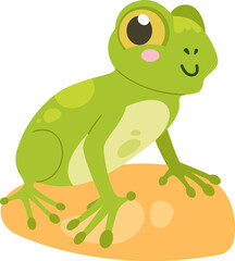 Sitting Frog Amphibian