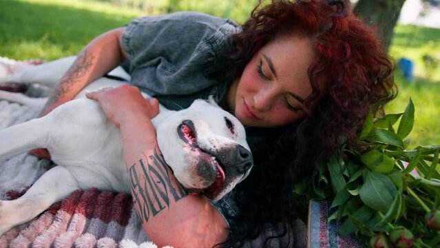 beautiful white dog pit bull staffordshire terrier on a walk in the park resting with the owner playing and licking her