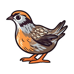 Playful Quail: Adorable 2D Illustration