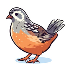 Obraz premium Playful Quail: Adorable 2D Illustration