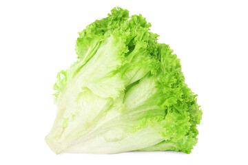 Fresh lettuce isolated on white. Salad greens