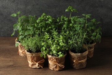 Fototapeta premium Different aromatic potted herbs on wooden table