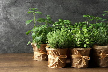 Different aromatic potted herbs on wooden table. Space for text