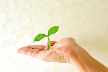 芽が出る　成長や誕生のイメージ