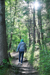 Walking in the Woods