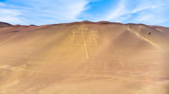 Nazca Lines EL Candelabro - Chandelier