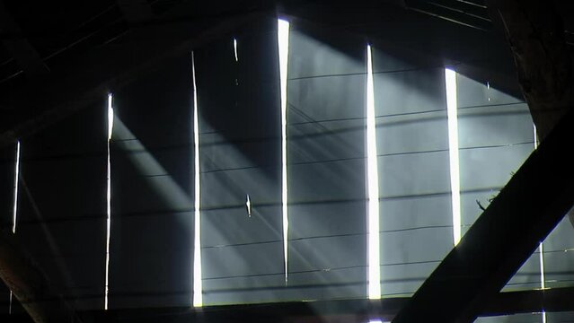 Smoke Against Old Weather-beaten Wooden Slats on a Tobacco Barn While the Tobacco is Being Fire-cured. Close Up.
