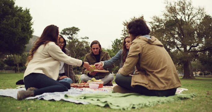 Friends, picnic and park food on a lawn with young people at a outdoor social event. Lunch, group and happiness of students on grass sitting together with a meal and communication feeling relax