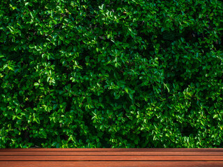 Empty wooden table top and greenery background. Refreshing. For products with empty space.
