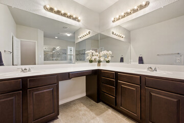 home bathroom 
