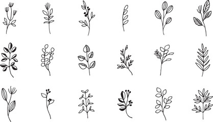 シンプルな草木のベクターイラスト。草木の線画イラストセット。植物のイラストセット。Simple vector illustration of grass and trees. Line drawing illustration set of plants and trees. Illustration set of plants.