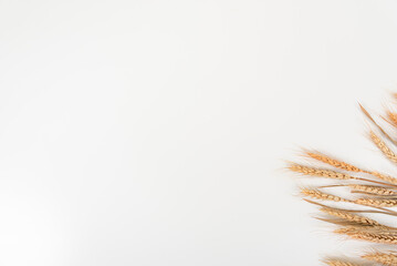 wheat on white table background top view