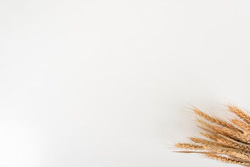 wheat on white table background top view