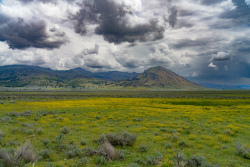 Fototapeta premium landscape in the spring