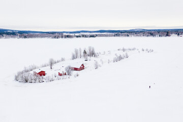 Lapland Snow Forrest