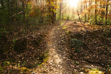 Trails in late autumn near Charlotte, North Carolina