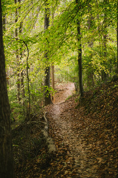 Trails in late autumn near Charlotte, North Carolina