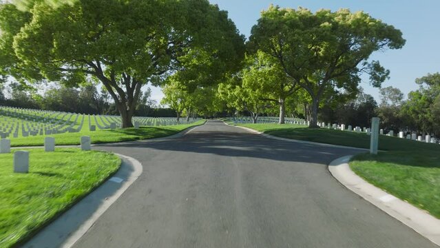 Drone flying fast along the road in cemetery park in California, United States with rows of gravestones at green tree park. Cinematic aerial of path in American war cemetery in Westwood Los Angeles 4K