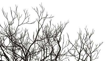 Silhouette isolated dead dry branches tree cutout backgrounds 3d illustrations png