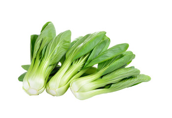 Bok choy vegetable on   transparent png