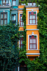 Fototapeta na wymiar Close up of colourful buildings in Balat Istanbul with lush green creepers on the exterior