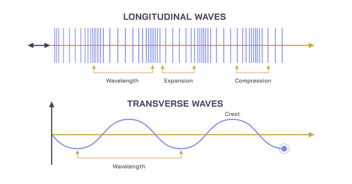 Types of sound waves vector illustration. Longitudinal waves, and transverse waves. Sound properties. Crest length and wave length. Compression and pitch detection. 