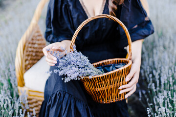 Attractive young woman in black dress sitting in chair surrounded by lavender field and holding basket with flowers