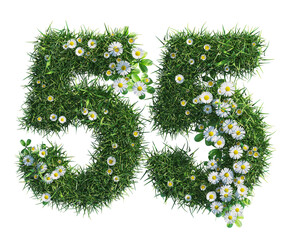 green grass 3d font number fifty five, cut out plants including grass and daisy flower
